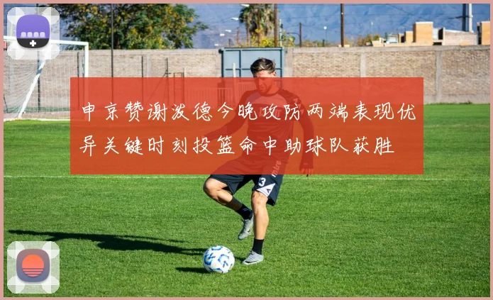 申京赞谢泼德今晚攻防两端表现优异关键时刻投篮命中助球队获胜