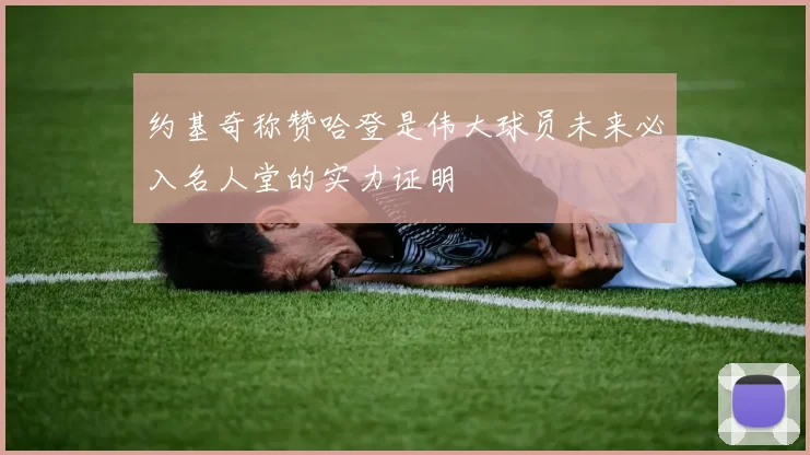 约基奇称赞哈登是伟大球员未来必入名人堂的实力证明