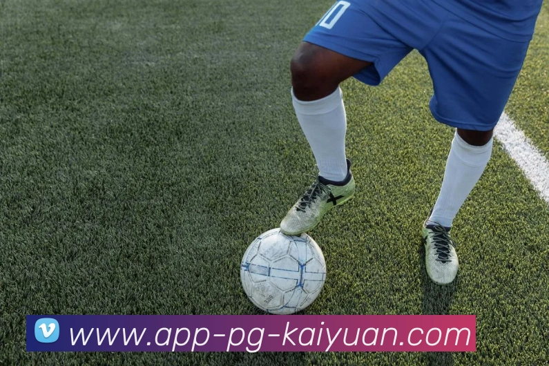 开元体育APP 封面图